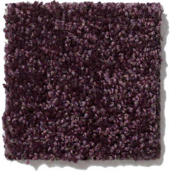 ALL STAR WEEKEND III 15' - Royal Purple 00902 ALL STAR WEEKEND III 15' - Royal Purple 00902