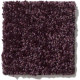ALL STAR WEEKEND III 15' - Royal Purple 00902 ALL STAR WEEKEND III 15' - Royal Purple 00902