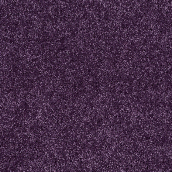ALL STAR WEEKEND III 15' - Grape Slushy 00931 ALL STAR WEEKEND III 15' - Grape Slushy 00931