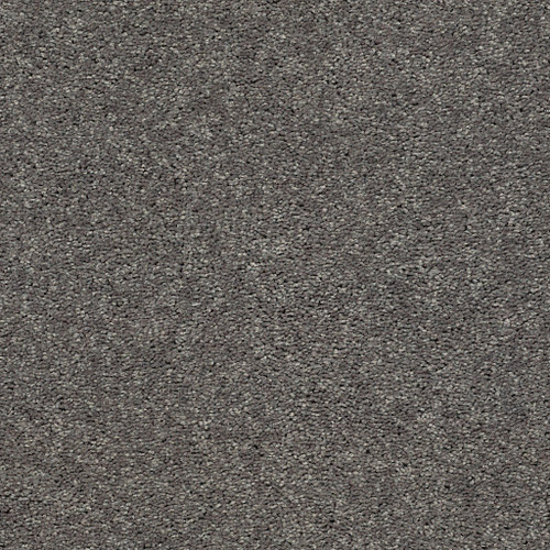 CABANA LIFE SOLID - Tree Bark 00523