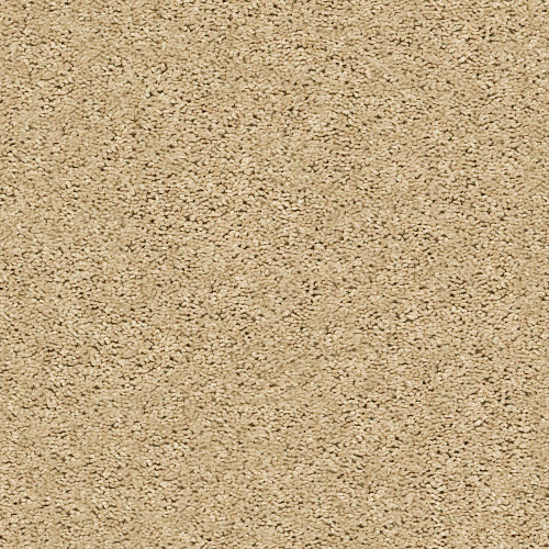 BREAK AWAY (S) - Wheat Field 00102
