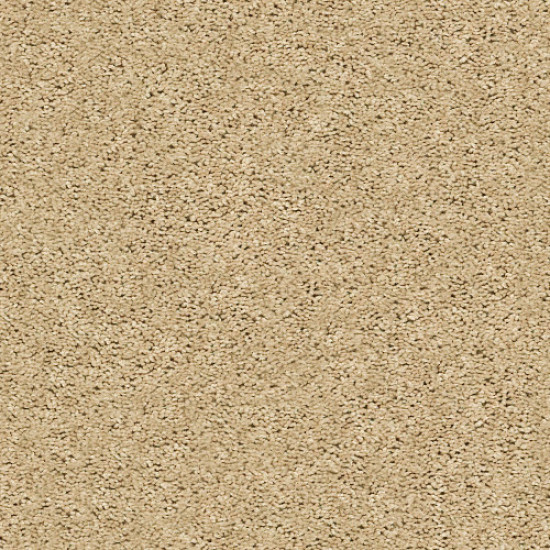 BREAK AWAY (S) - Wheat Field 00102