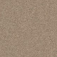 BREAK AWAY (S) - Wheat Field 00102