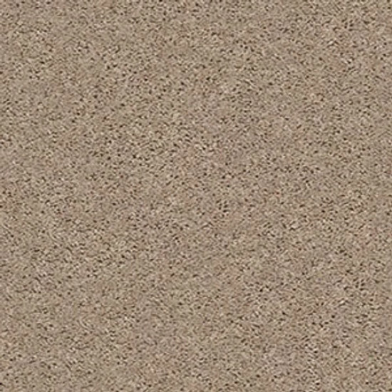 BREAK AWAY (S) - Wheat Field 00102