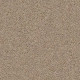 BREAK AWAY (S) - Wheat Field 00102