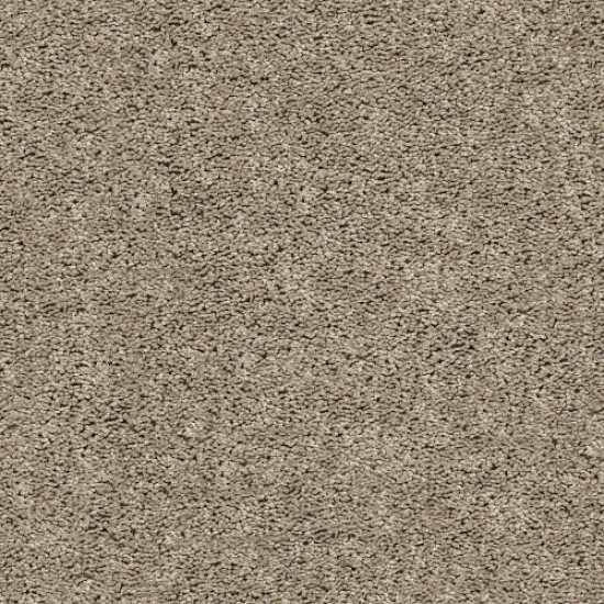 BREAK AWAY (S) - Soft Taupe 00501 BREAK AWAY (S) - Soft Taupe 00501