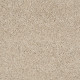 XV630 - Modest 00110 XV630 - Modest 00110