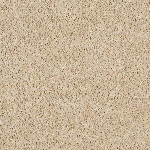 XV630 - Sand Dollar 00202