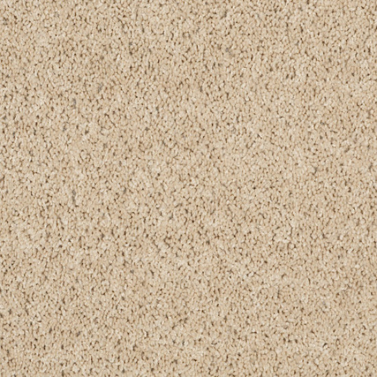XV630 - Sand Dollar 00202 XV630 - Sand Dollar 00202