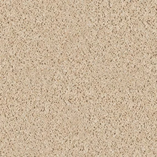XV630 - Sand Dollar 00202 XV630 - Sand Dollar 00202