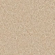 XV630 - Sand Dollar 00202 XV630 - Sand Dollar 00202