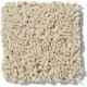 XV630 - Sand Dollar 00202 XV630 - Sand Dollar 00202