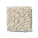 XV631 - Southern Charm 00161 XV631 - Southern Charm 00161