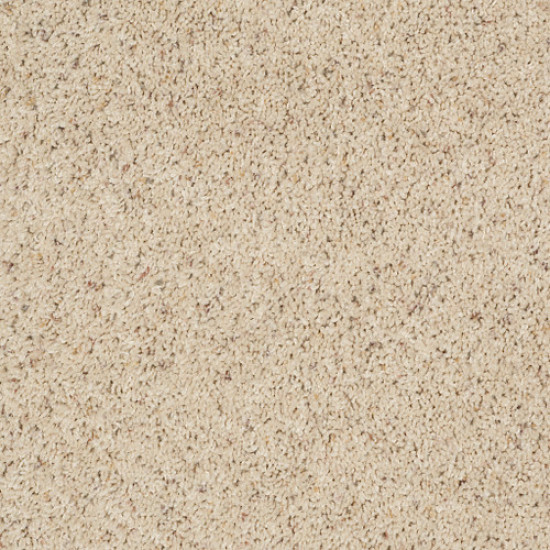 XV631 - Southern Charm 00161 XV631 - Southern Charm 00161