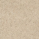 XV631 - Southern Charm 00161 XV631 - Southern Charm 00161