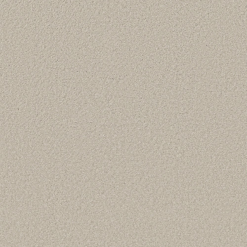 ENDURING COMFORT III - Polar 00104