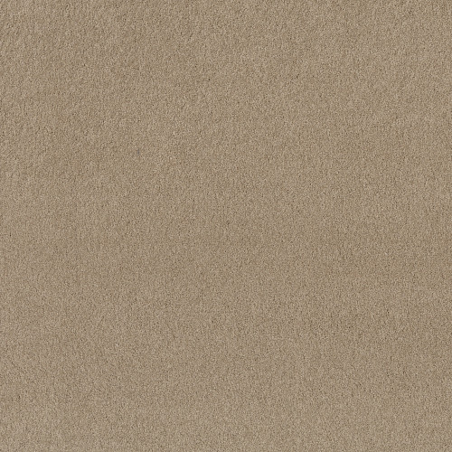 KEEN SENSES II - Safari 00188