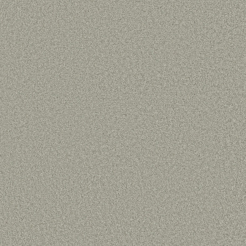 ENDURING COMFORT III - Sheer Silver 00500