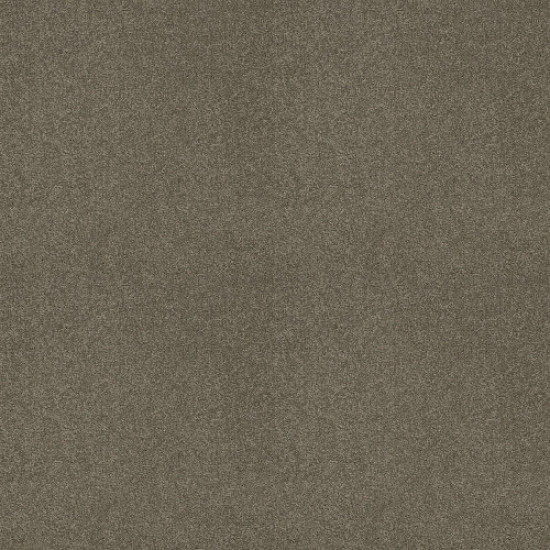 MY CHOICE III - Grey Flannel 00501
