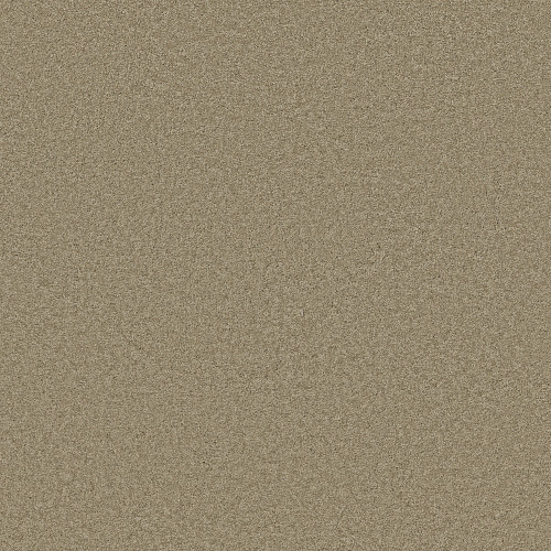 ENDURING COMFORT III - Driftwood 00700