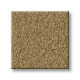 ENDURING COMFORT III - Country Wheat 00701 ENDURING COMFORT III - Country Wheat 00701