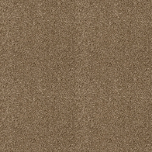 MY CHOICE III - Twig 00702