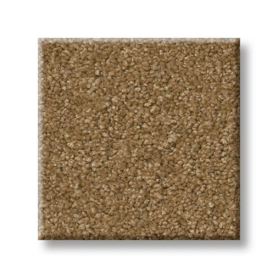 ENDURING COMFORT III - English Toffee 00703 ENDURING COMFORT III - English Toffee 00703