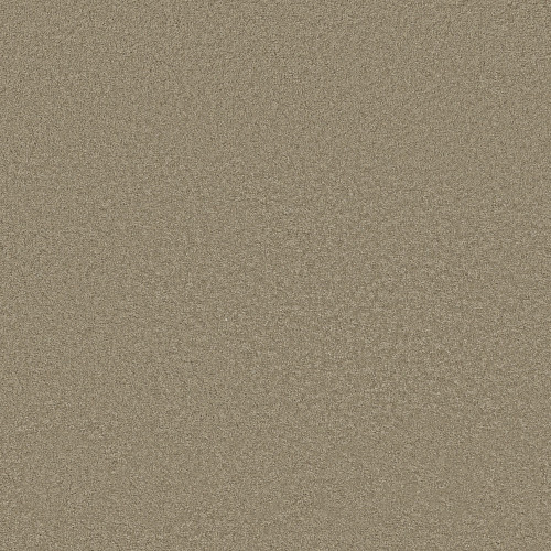 MY CHOICE III - Smooth Slate 00704