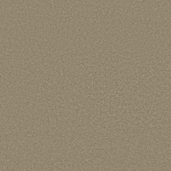 MY CHOICE III - Smooth Slate 00704