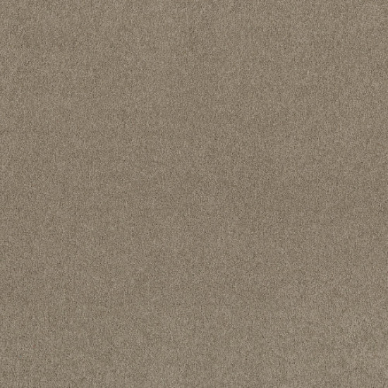 MY CHOICE III - Smooth Slate 00704