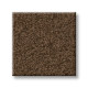 ENDURING COMFORT III - Apple Butter 00728 ENDURING COMFORT III - Apple Butter 00728