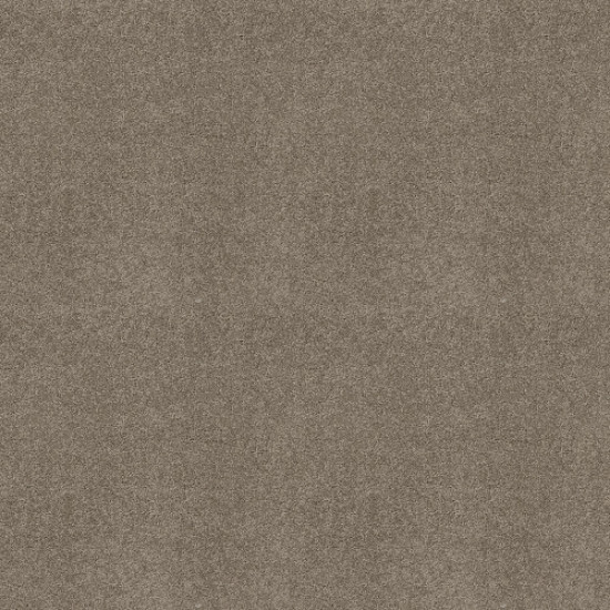 MY CHOICE III - Rocky Coast 00750