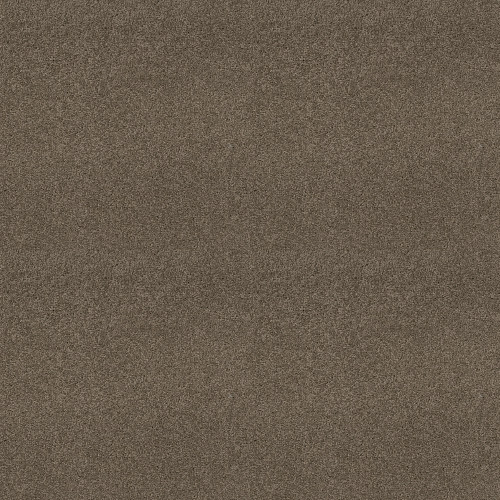 MY CHOICE III - Flax 00751