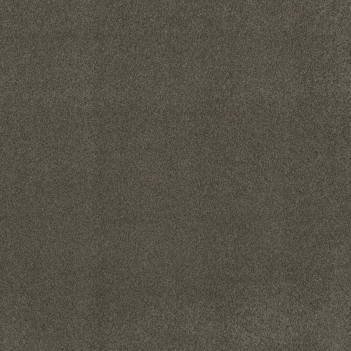 MY CHOICE III - Graphite 00754
