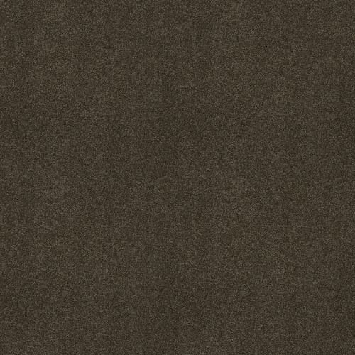 MY CHOICE III - Chocolate 00758