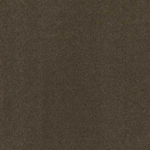 MY CHOICE III - Weathered Wood 00759