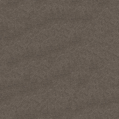 MY CHOICE III - Sepia 00950