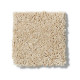 MY CHOICE I - Mesa 00105 MY CHOICE I - Mesa 00105