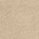 MY CHOICE I - Mesa 00105 MY CHOICE I - Mesa 00105