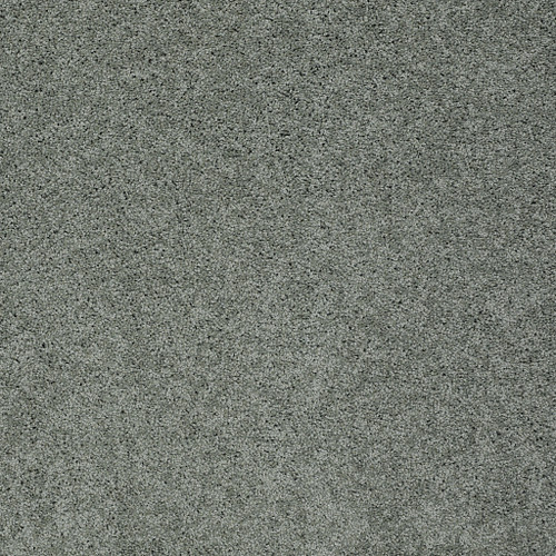 MY CHOICE I - Silver Sage 00350