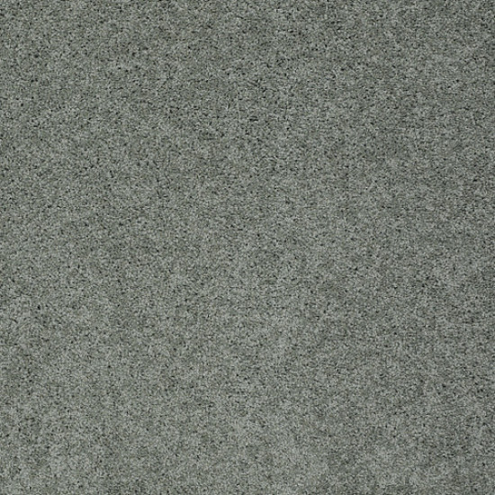 MY CHOICE I - Silver Sage 00350 MY CHOICE I - Silver Sage 00350