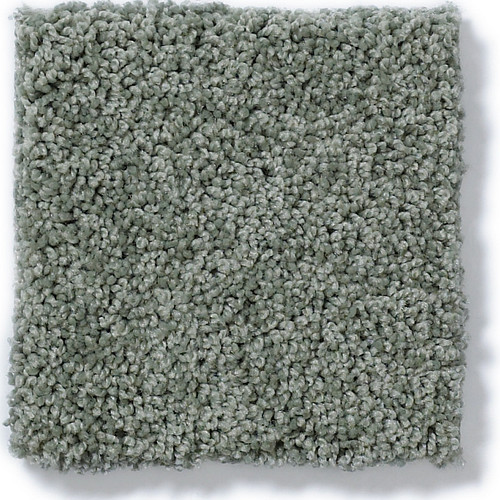 MY CHOICE I - Silver Sage 00350
