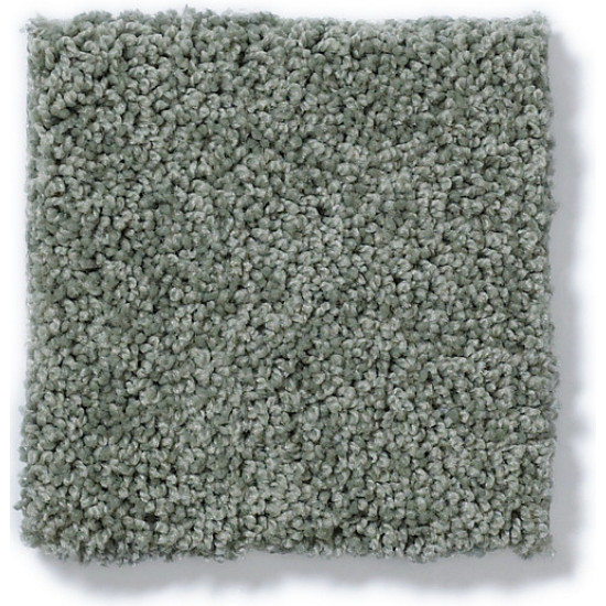 MY CHOICE I - Silver Sage 00350 MY CHOICE I - Silver Sage 00350