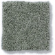 MY CHOICE I - Silver Sage 00350 MY CHOICE I - Silver Sage 00350