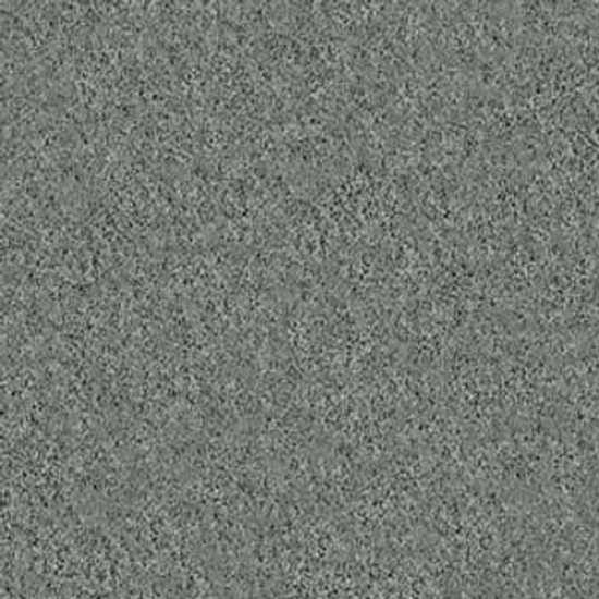 MY CHOICE I - Silver Sage 00350 MY CHOICE I - Silver Sage 00350