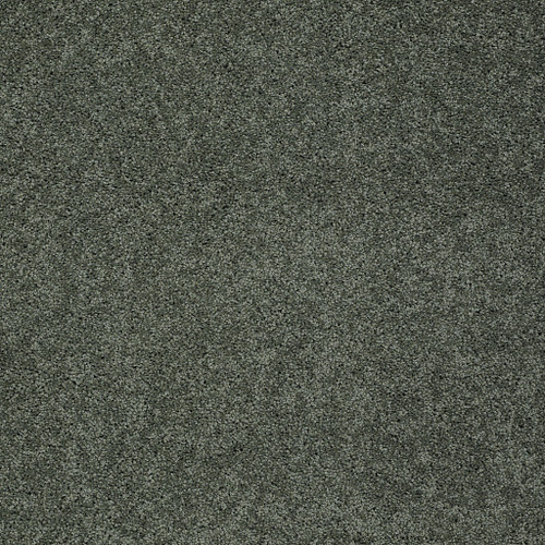 MY CHOICE I - Bay Laurel 00351