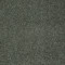 MY CHOICE I - Bay Laurel 00351