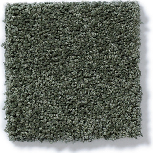MY CHOICE I - Bay Laurel 00351