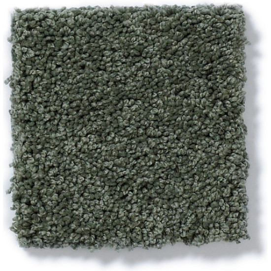 MY CHOICE I - Bay Laurel 00351 MY CHOICE I - Bay Laurel 00351