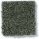 MY CHOICE I - Bay Laurel 00351 MY CHOICE I - Bay Laurel 00351